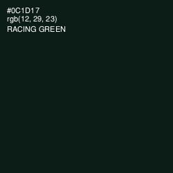 #0C1D17 - Racing Green Color Image